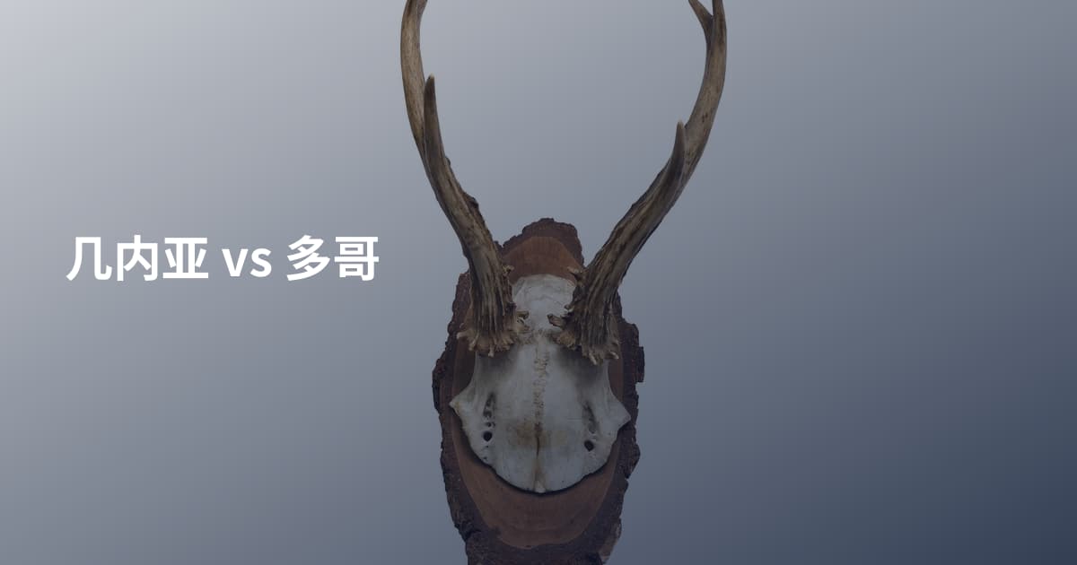 几内亚 vs 多哥