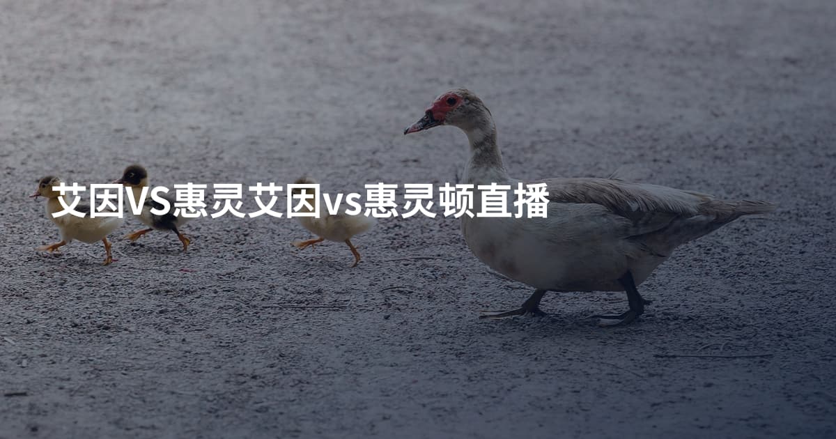 艾因VS惠灵艾因vs惠灵顿直播