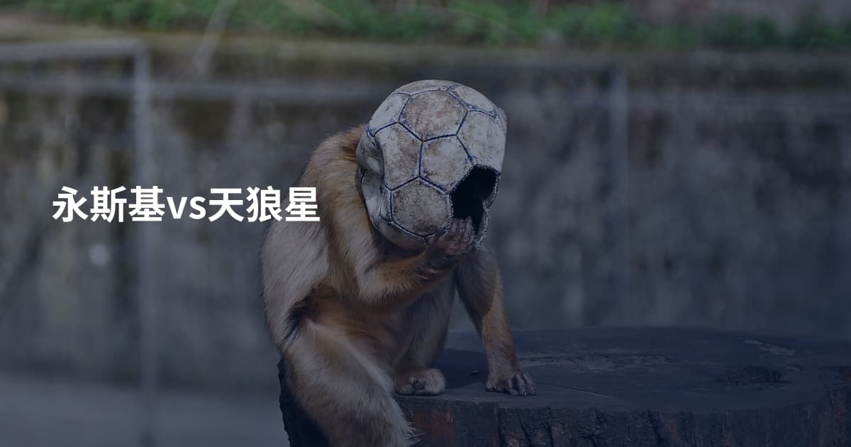 永斯基vs天狼星