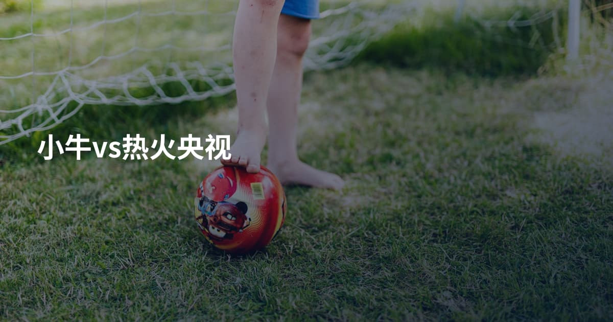 小牛vs热火央视