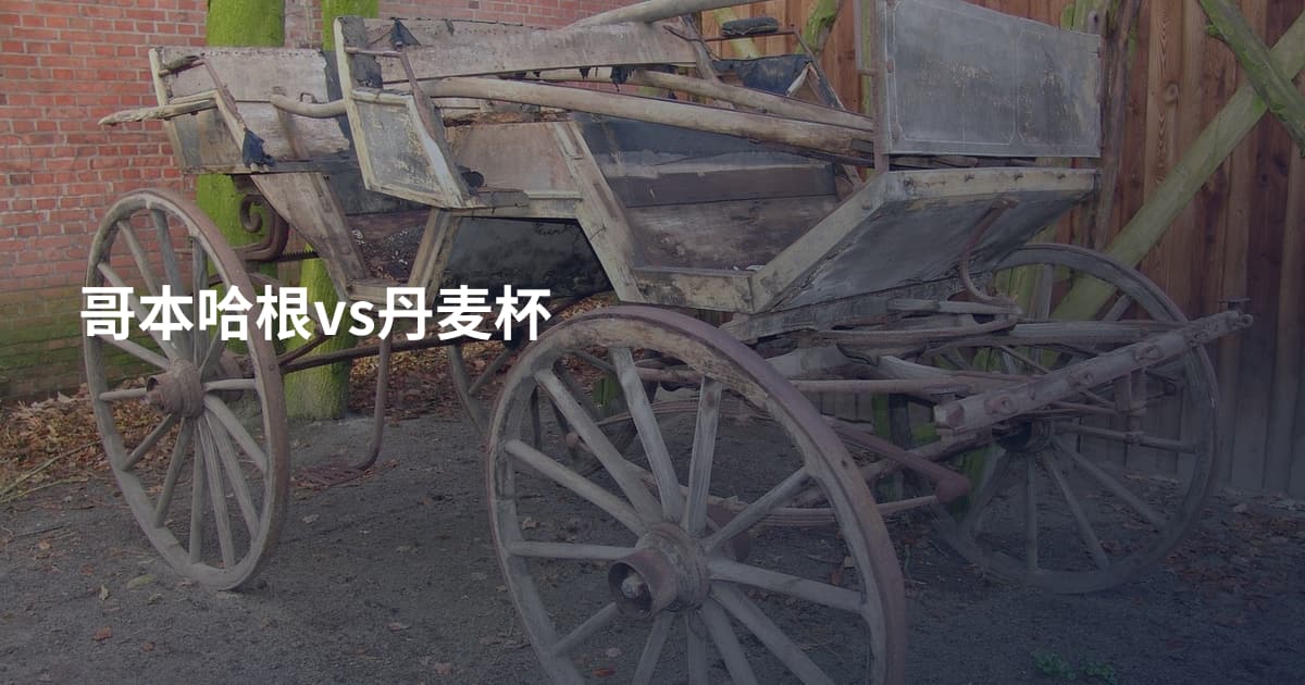 哥本哈根vs丹麦杯