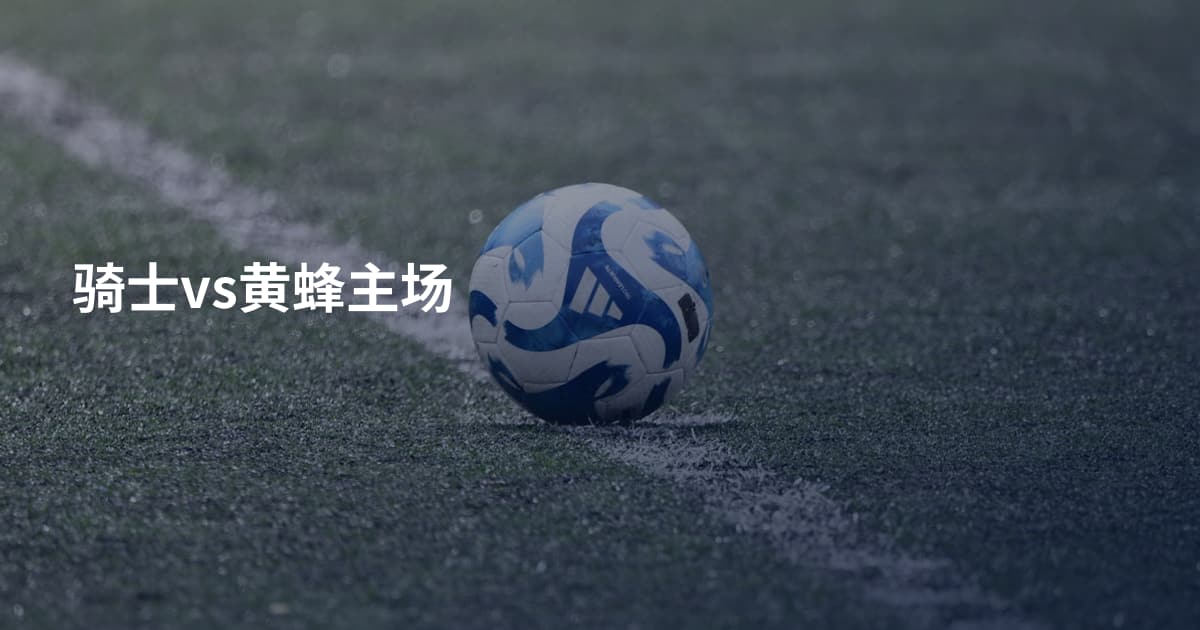 骑士vs黄蜂主场