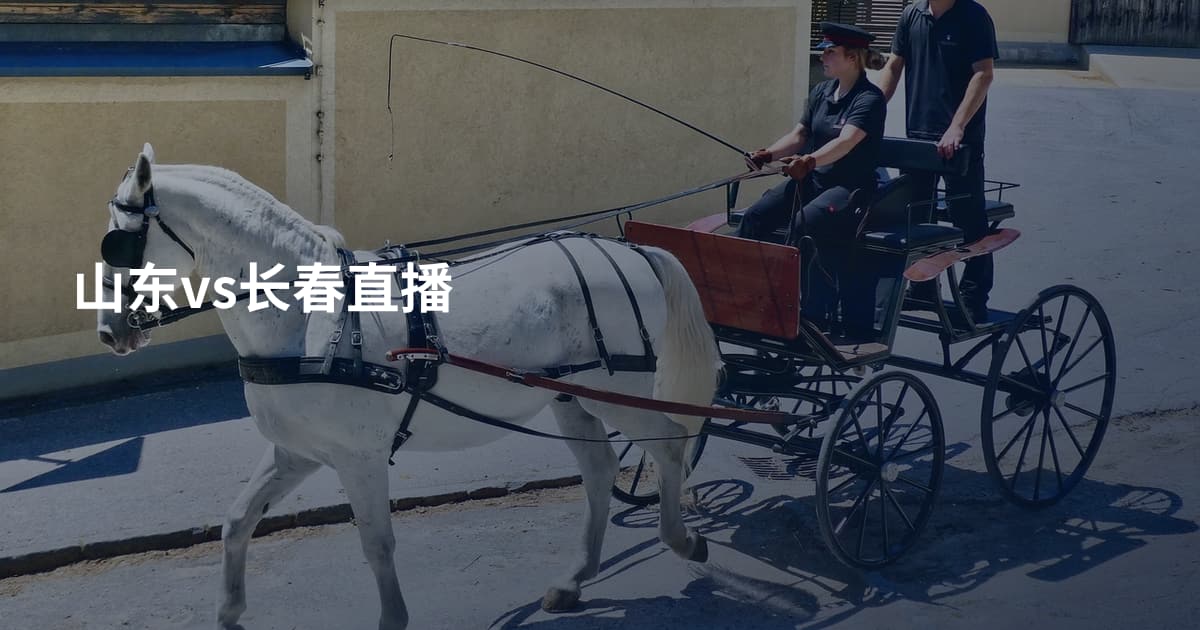 山东vs长春直播