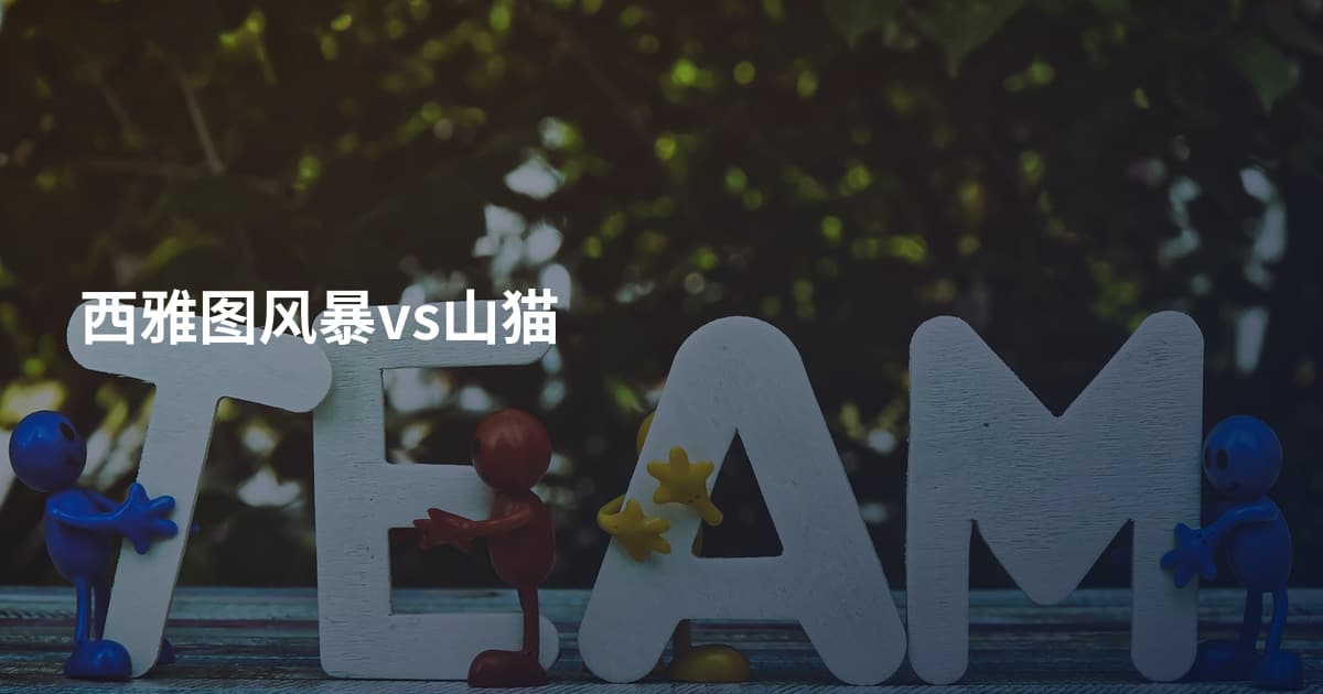 西雅图风暴vs山猫