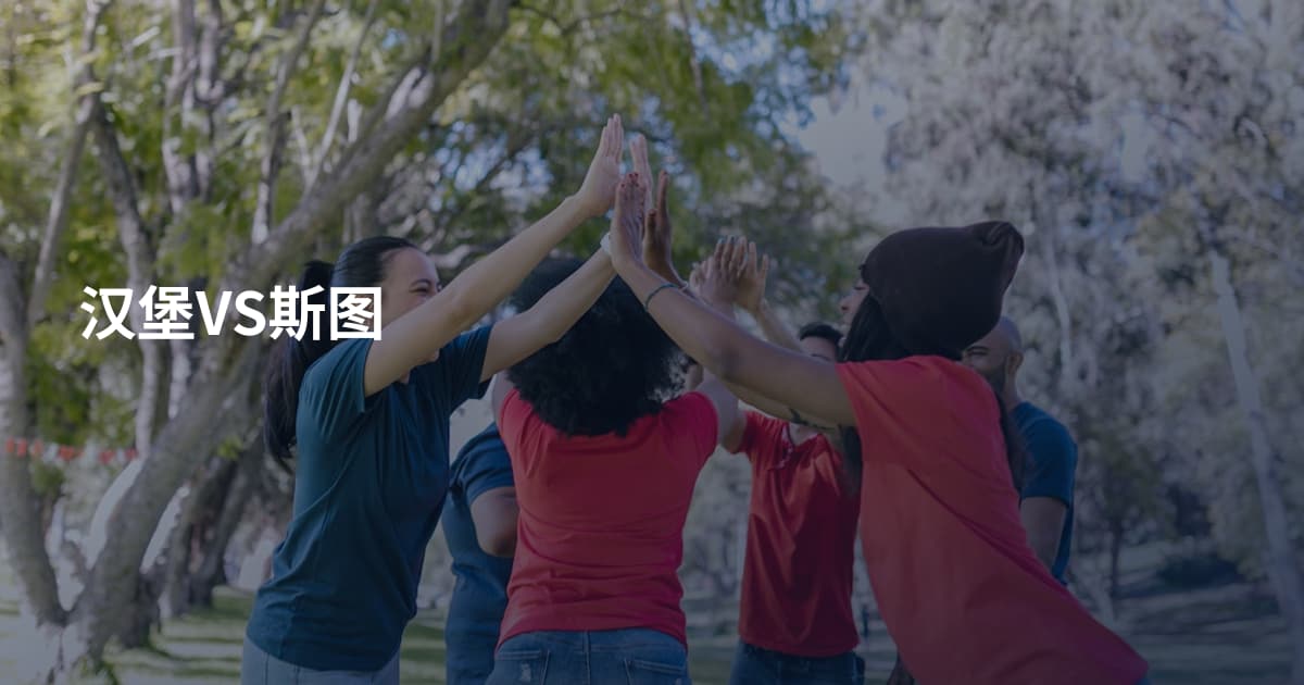 汉堡VS斯图