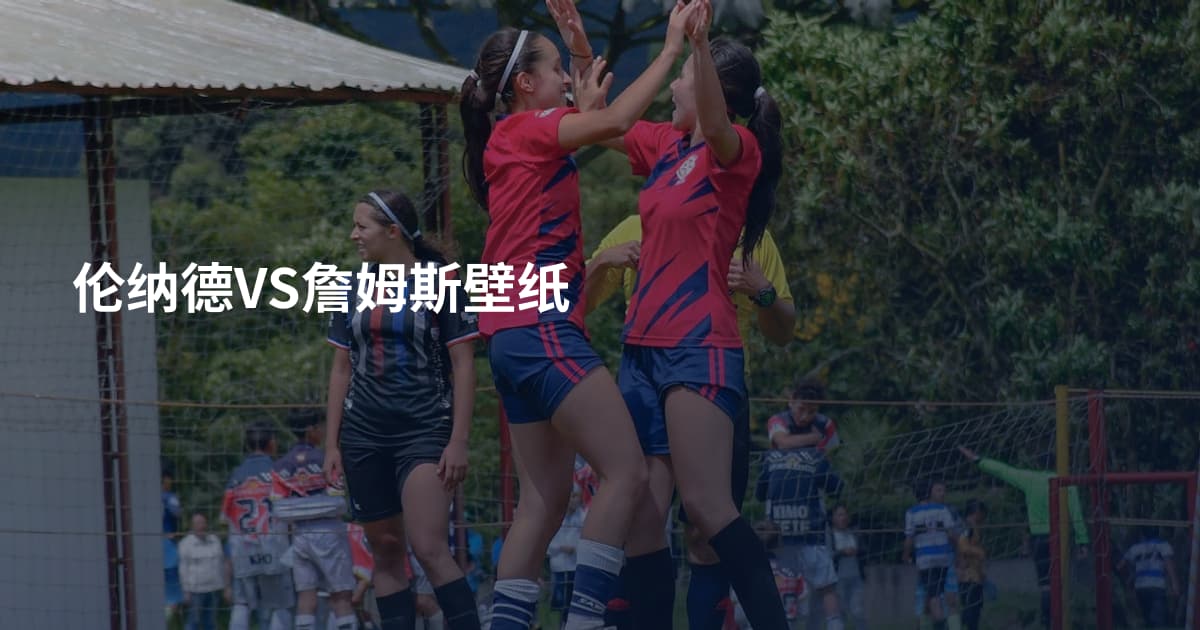 伦纳德VS詹姆斯壁纸
