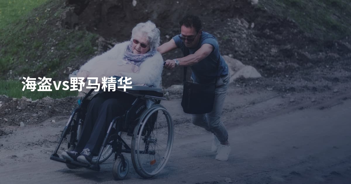 海盗vs野马精华