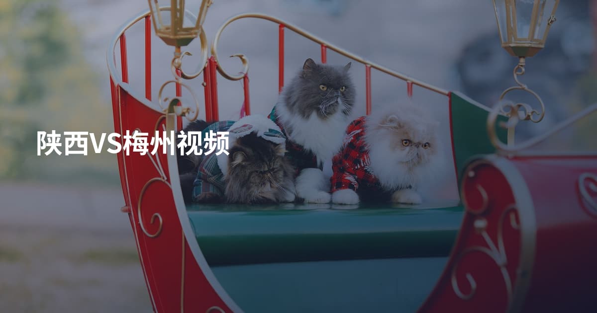 陕西VS梅州视频
