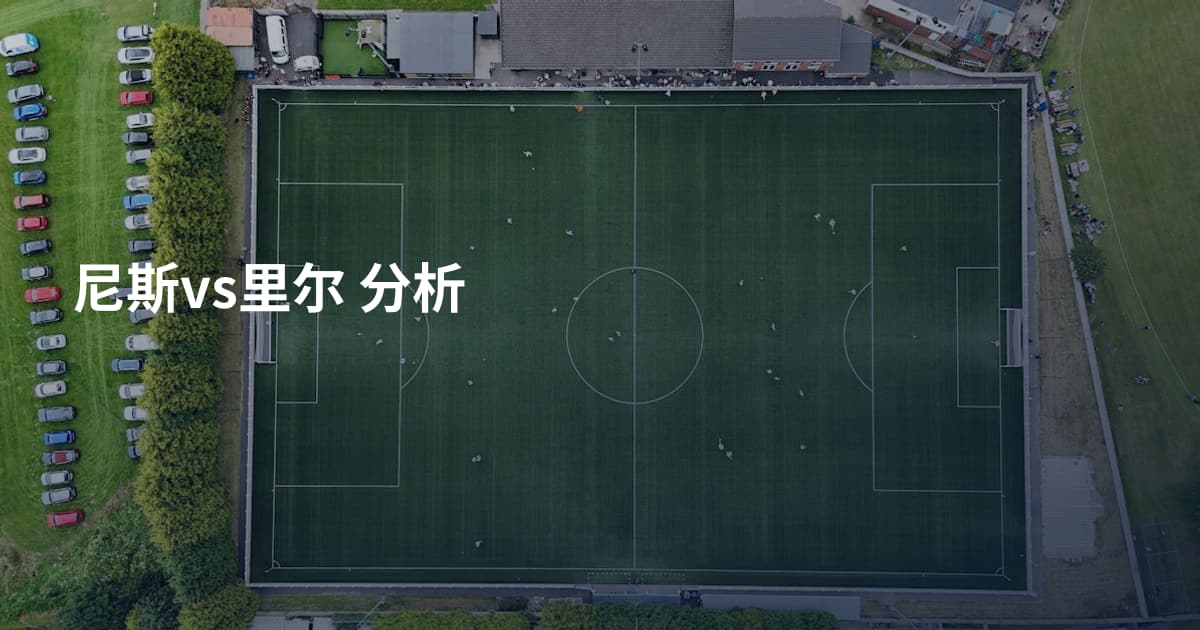 尼斯vs里尔 分析