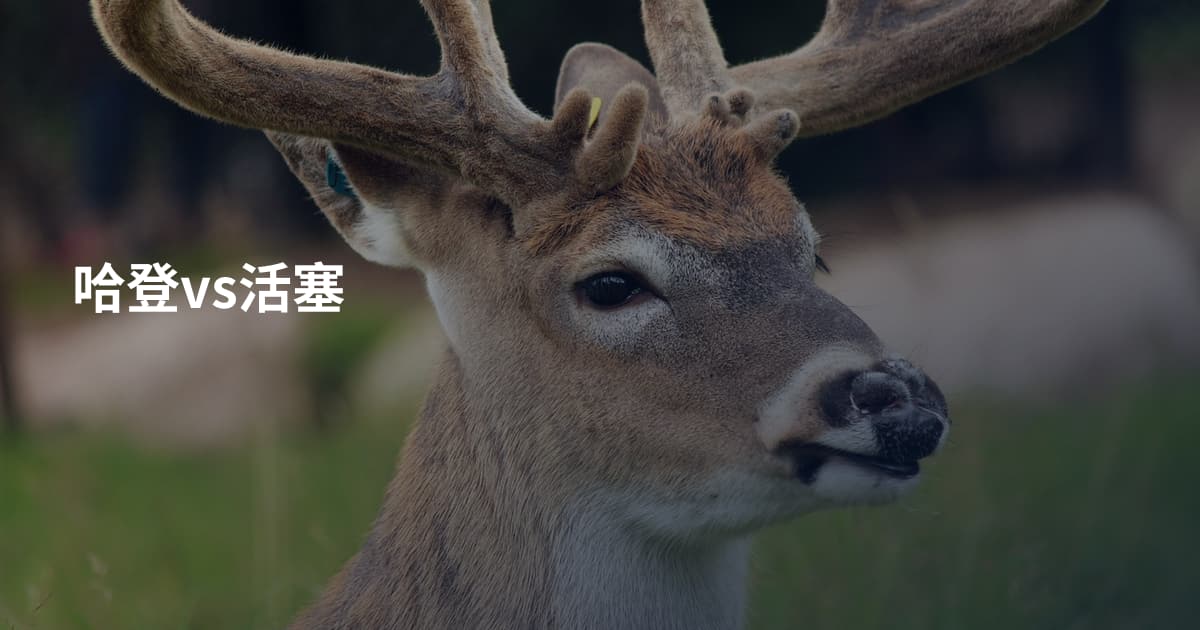 哈登vs活塞