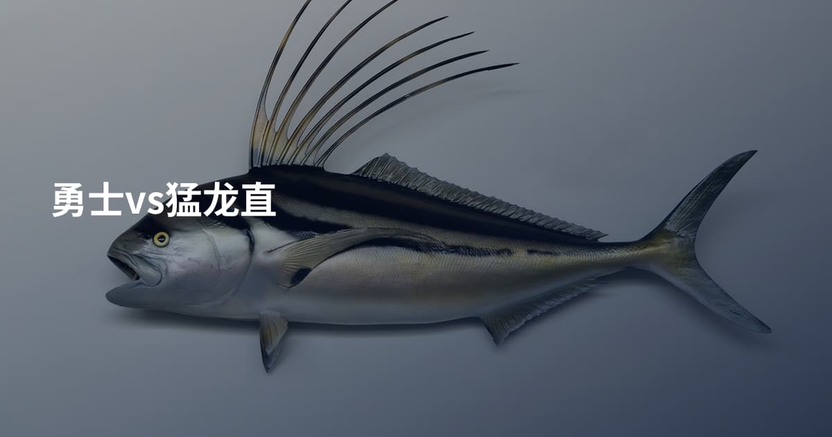 勇士vs猛龙直