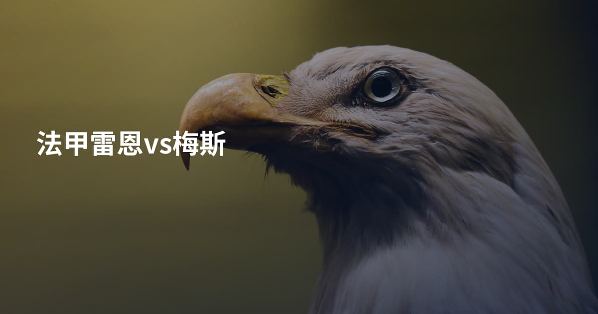 法甲雷恩vs梅斯