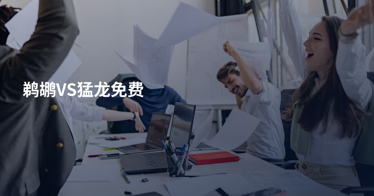 鹈鹕VS猛龙免费