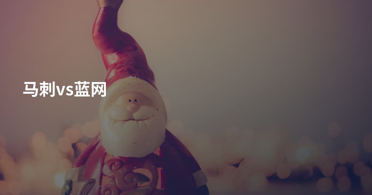马刺vs蓝网