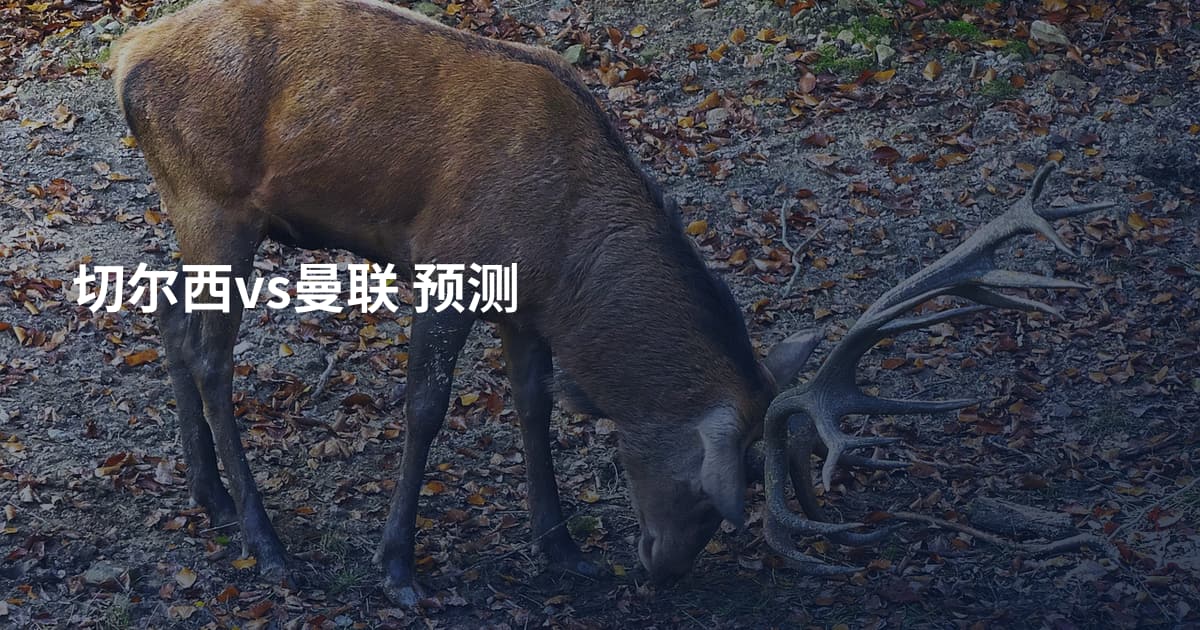切尔西vs曼联 预测