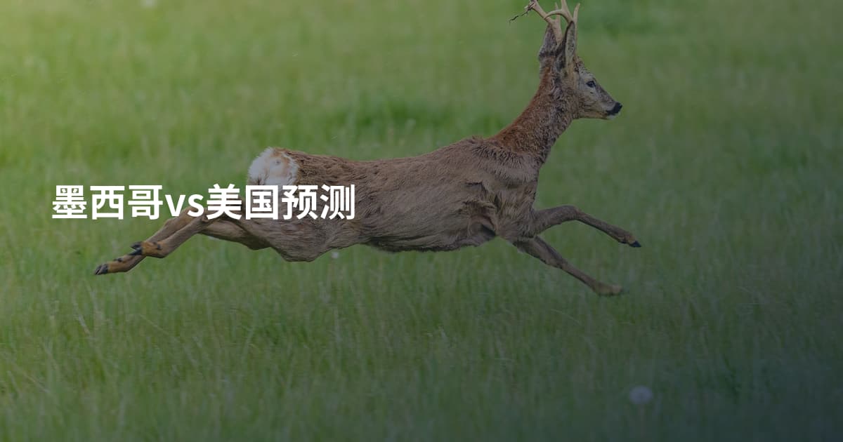 墨西哥vs美国预测