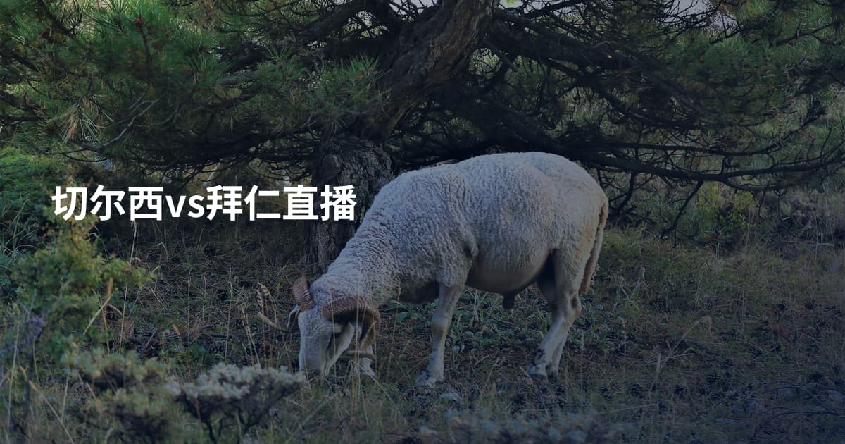 切尔西vs拜仁直播