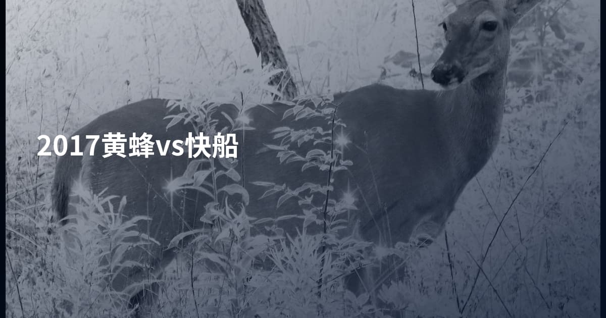 2017黄蜂vs快船