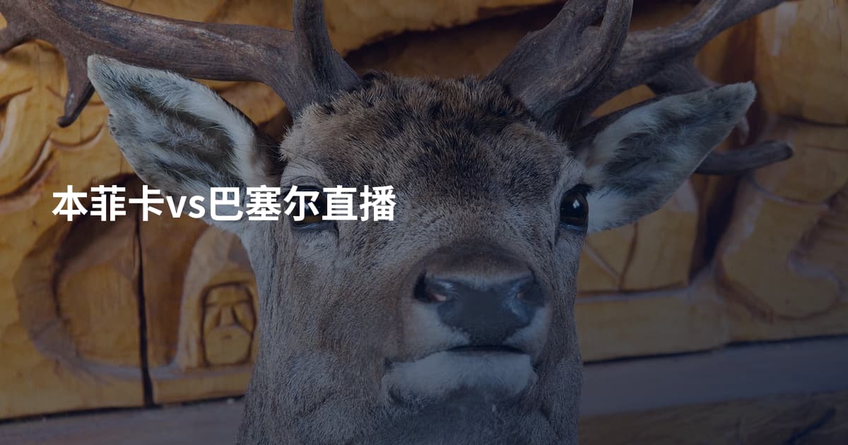 本菲卡vs巴塞尔直播