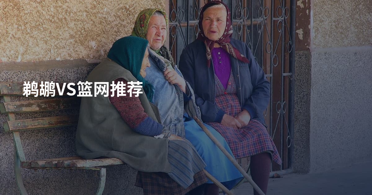鹈鹕VS篮网推荐
