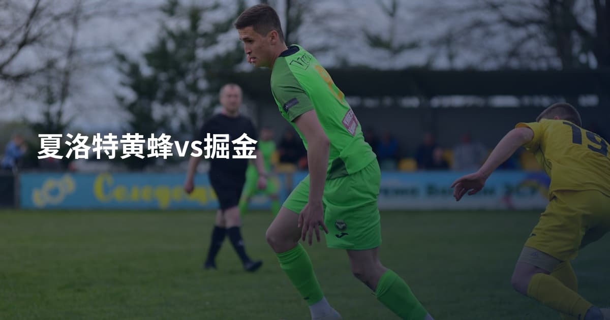 夏洛特黄蜂vs掘金