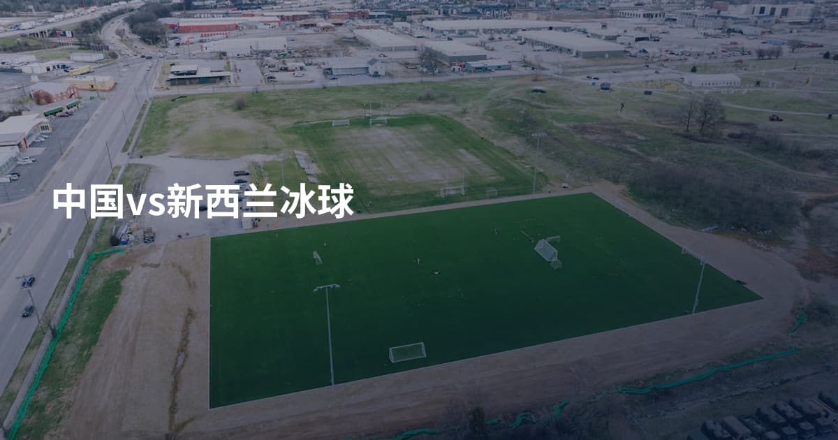 中国vs新西兰冰球