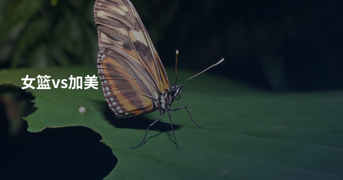 女篮vs加美