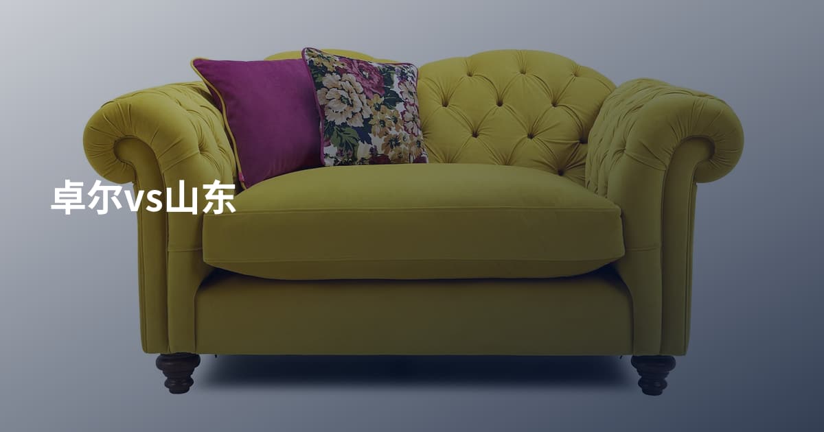 卓尔vs山东