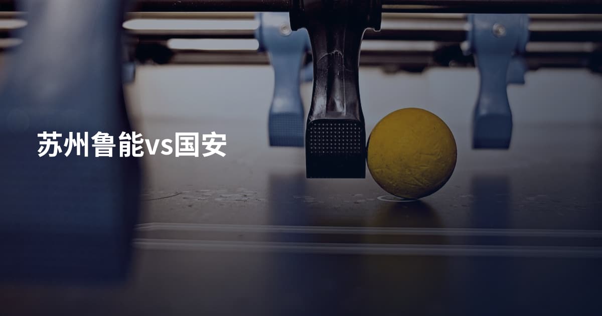 苏州鲁能vs国安