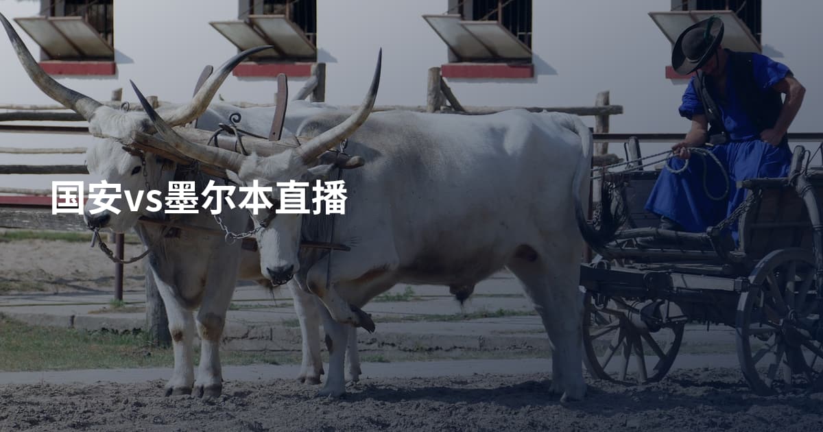 国安vs墨尔本直播