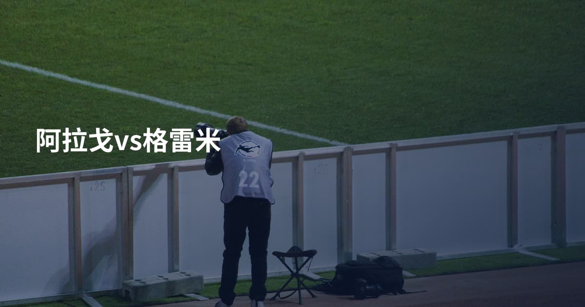 阿拉戈vs格雷米