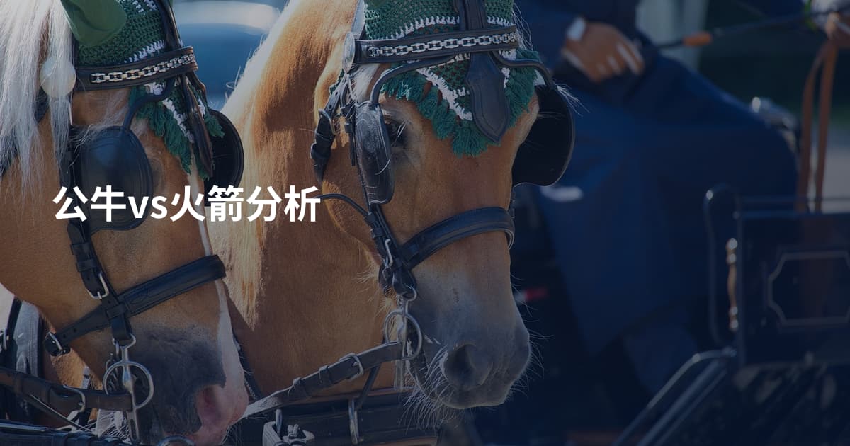 公牛vs火箭分析