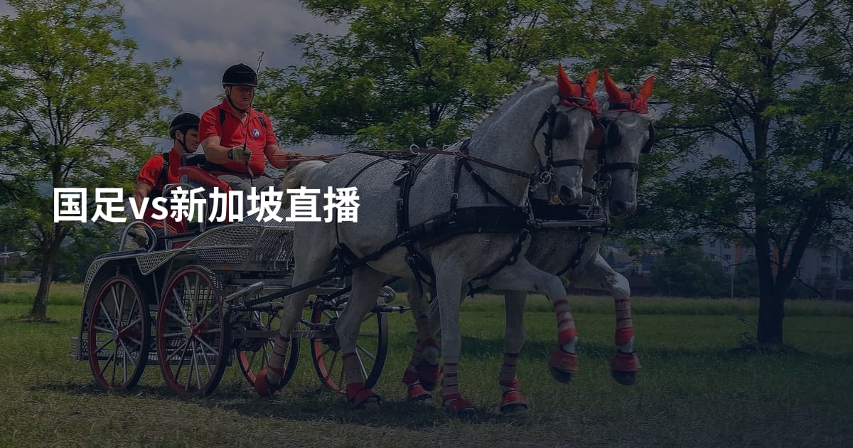 国足vs新加坡直播