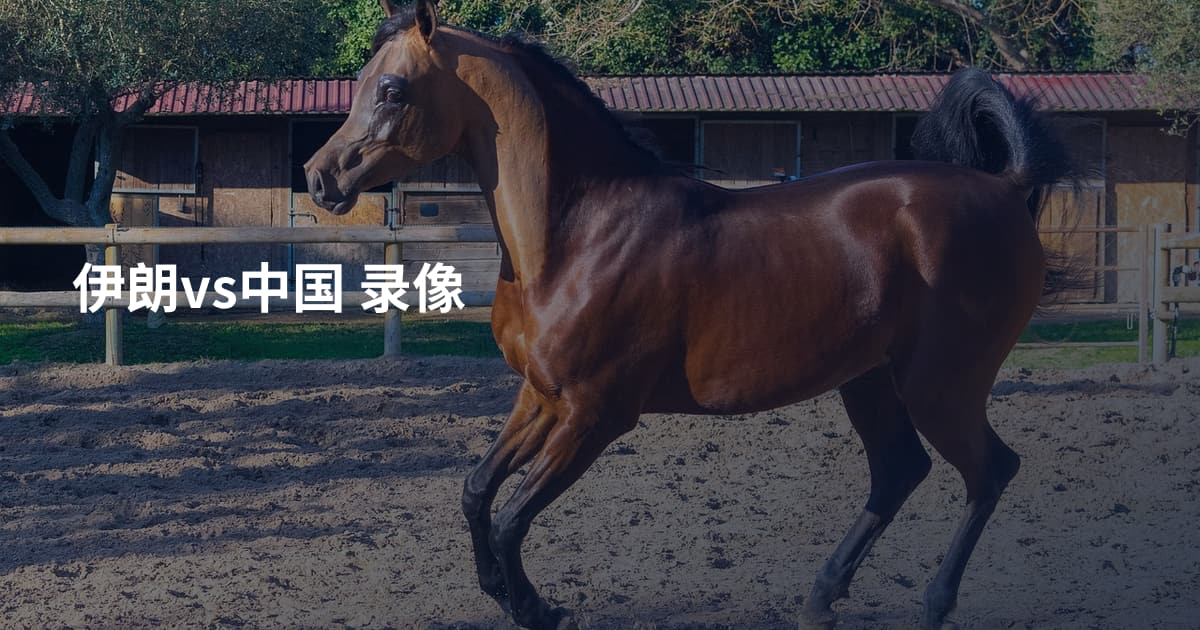 伊朗vs中国 录像