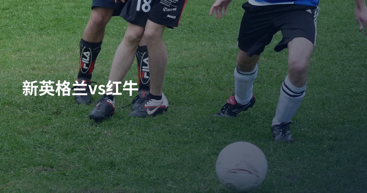 新英格兰vs红牛