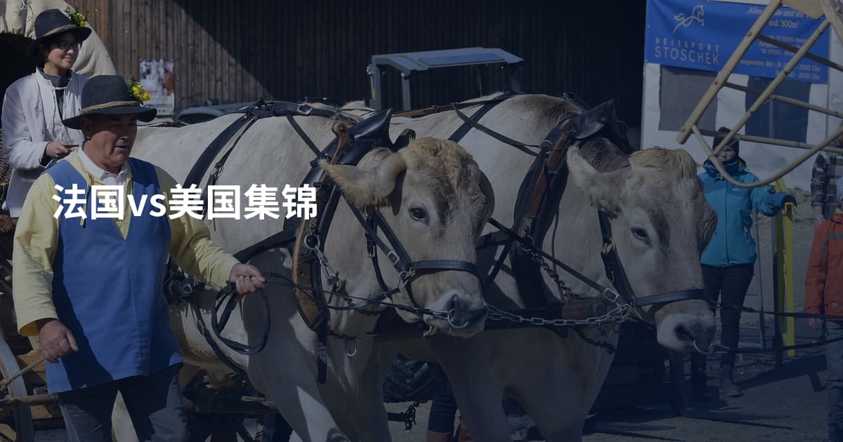 法国vs美国集锦