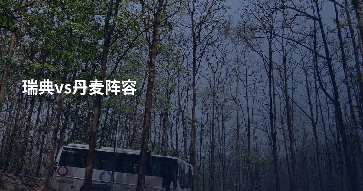 瑞典vs丹麦阵容