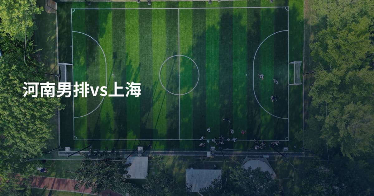 河南男排vs上海