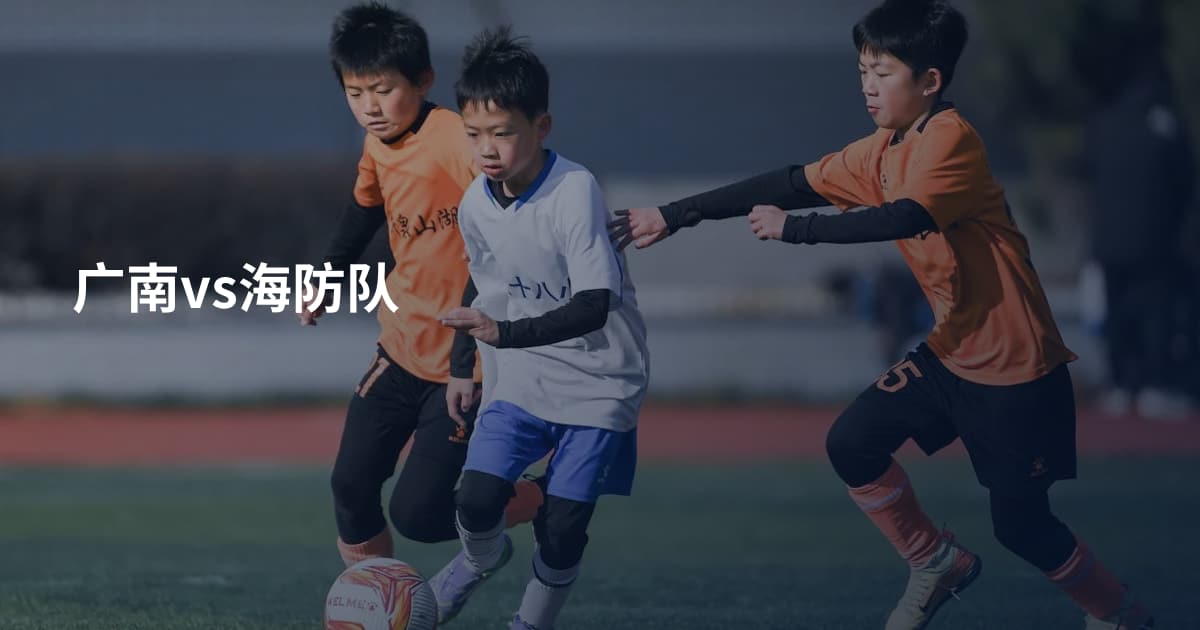 广南vs海防队