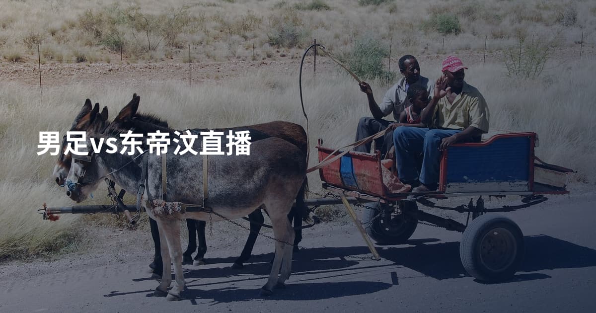 男足vs东帝汶直播
