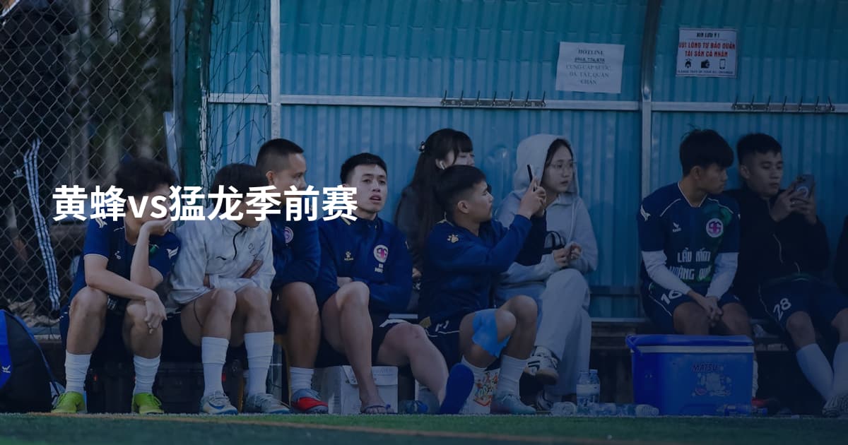 黄蜂vs猛龙季前赛