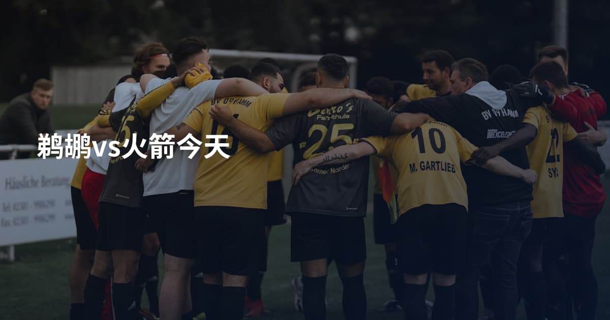 鹈鹕vs火箭今天