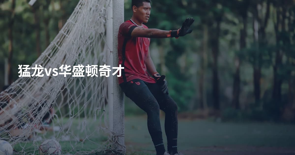 猛龙vs华盛顿奇才