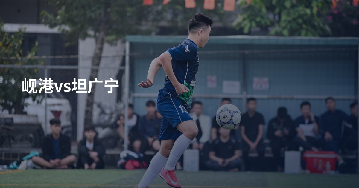 岘港vs坦广宁