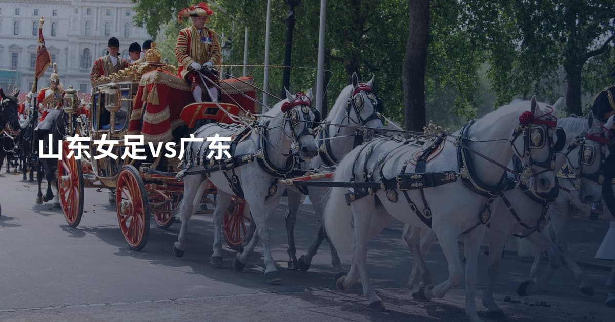 山东女足vs广东