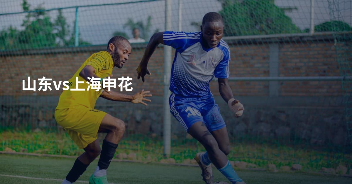 山东vs上海申花