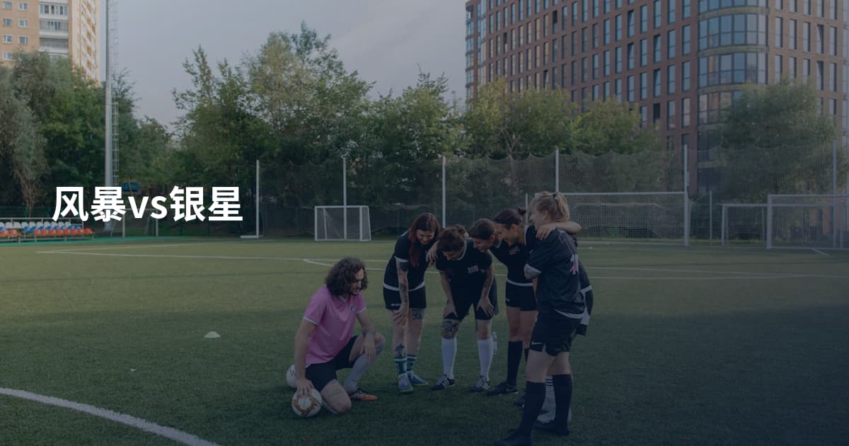 风暴vs银星