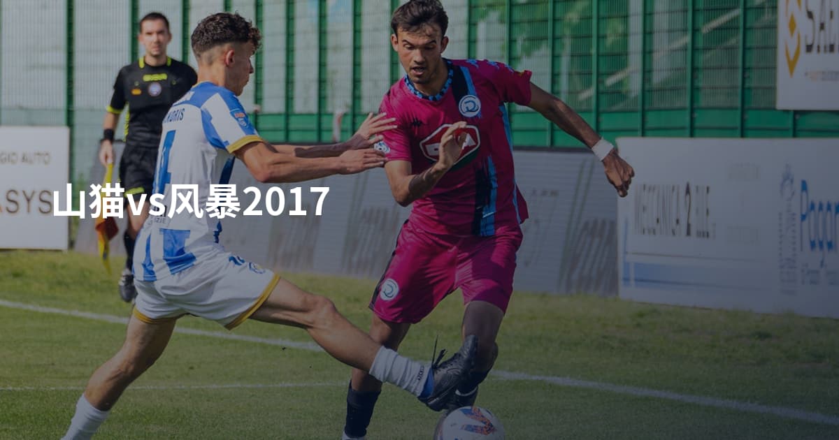 山猫vs风暴2017