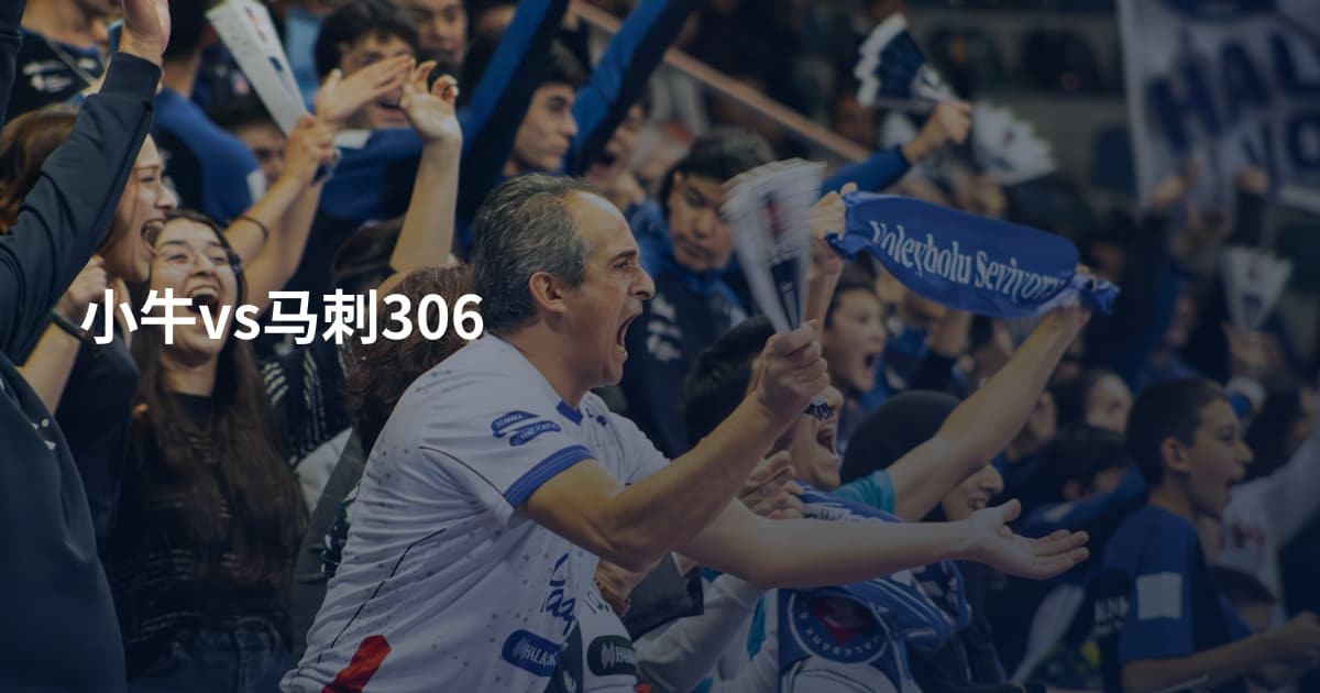 小牛vs马刺306