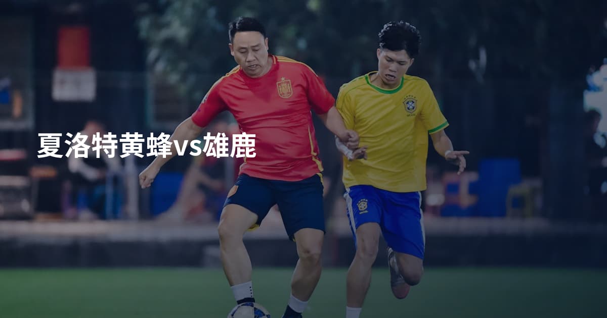 夏洛特黄蜂vs雄鹿